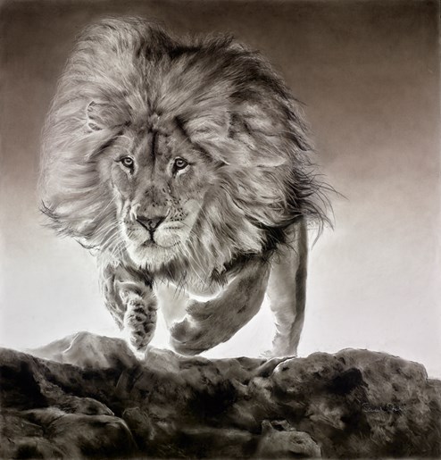 Leap of Faith by Sarah Stokes - Original Drawing on Mounted Paper